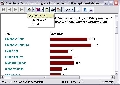Reportizer 3.0.3.247