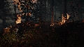 The Forest: Мод на бесконечные ресурсы