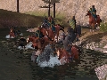 Mount & Blade. Огнем и мечом