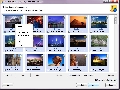 Starus Photo Recovery 3.1