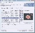 Extreme Thumbnail Generator 1.9.2.1