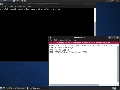Xubuntu (32-bit) 10.04