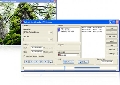 SolveigMM AVI Trimmer 1.6.801.18