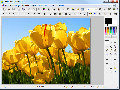 Photofiltre Portable 2.6.7