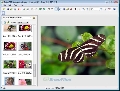 BetterJPEG 1.3.5.0