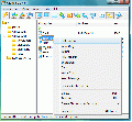 Radmin Remote Control 3.1