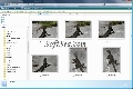 Canon RAW Codec 1.6.0
