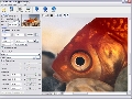 BenVista PhotoZoom Pro 3.0.10