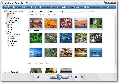 Windows Live Photo Gallery 12.0.1308.1023