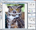 PhotoLine 14.51
