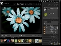 Adobe AIR 1.1