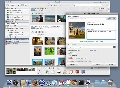 Picasa 1.5.1 build 4.41