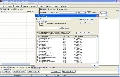 NewsBin Pro 5.33