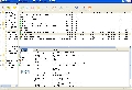 BitComet 2008.07.10 Beta