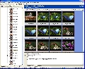 IMatch 3.4