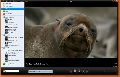 Miro for Linux 2.5.2