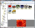 XnView Minimal 2.10
