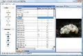 Batch TIFF Resizer 1.63