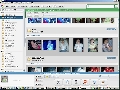 Picasa 1.5.1 build 4.41