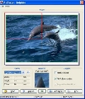 ProPoster 2.02.09