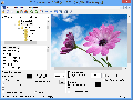 Alternate Pic View EXESlide 1.406