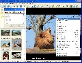 Smart Pix Manager 10