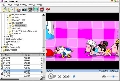 Flash Player Pro 3.51 Portable