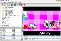 Flash Player Pro 3.51 Portable