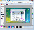 PicPick 3.1.0