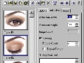 MS GIF Animator 1.0