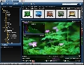Pictomio 1.0.10