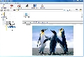 Comfy File Repair 1.1