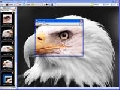 Capture View 5.6