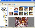 XNView Standart 2.10