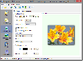 Easy Web Gallery Builder