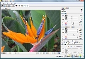 Neat Image 5.9