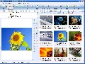 Ashampoo Photo Commander Free 5.41