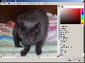 Futurix Imager 5.9 Beta 3