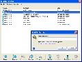 SafeDisk 2.2.2
