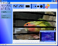 PhotoWipe 1.0