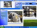 PhotoWipe 1.0