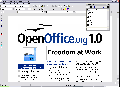 OpenOffice.org 3.0.0 RC4 / 2.4.1
