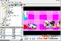 Flash_Player_Pro_3.51_Portable