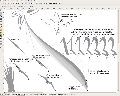 Inkscape 0.47-3