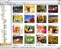 StudioLine Photo Basic 3.70.43.0