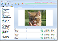 Undelete 360 2.15 Build 24