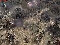 Company of Heroes