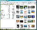 FreeCommander XE 0.0.0.638
