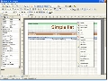 Stimulsoft Reports.Web with Source Code 2008.2