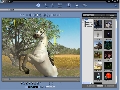 Reallusion iClone PRO 3.2 + Resource Pack